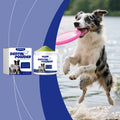 Poudre de nettoyage des dents des animaux de compagnie