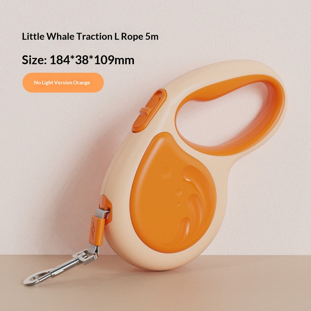 5m laisse rétractable pour animaux avec lampe de poche