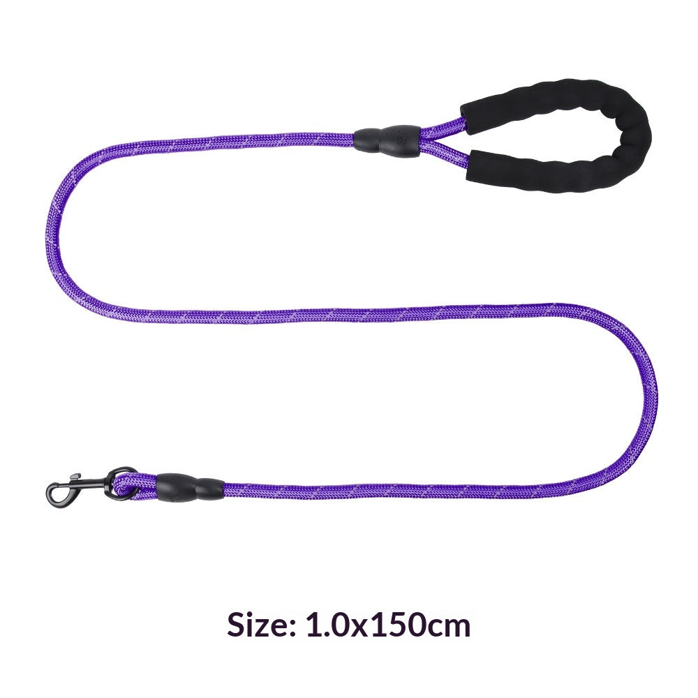 Explosion-Proof Reflective Pet Bungee Leash