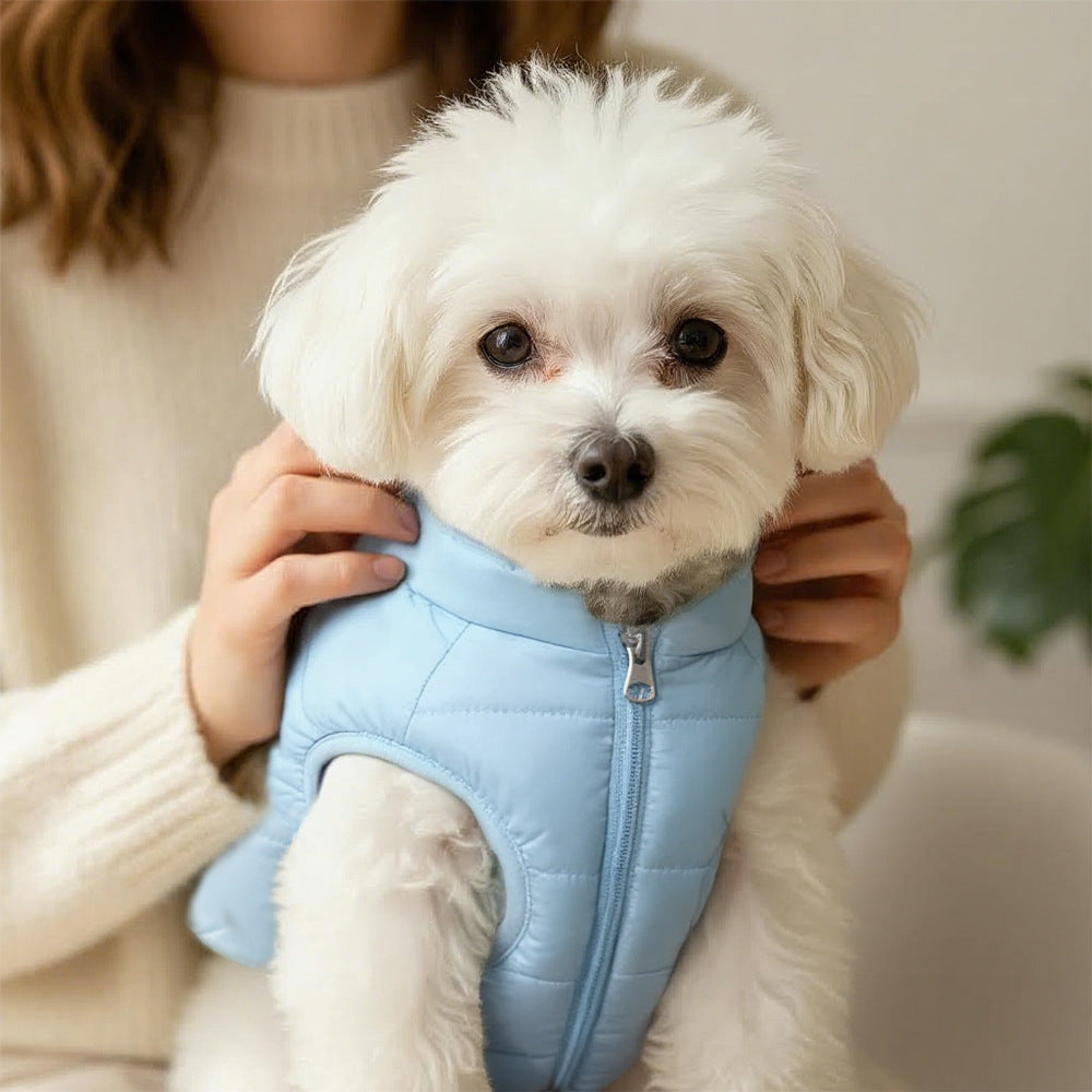 Manteau de coton chaud d'hiver pour animaux de compagnie