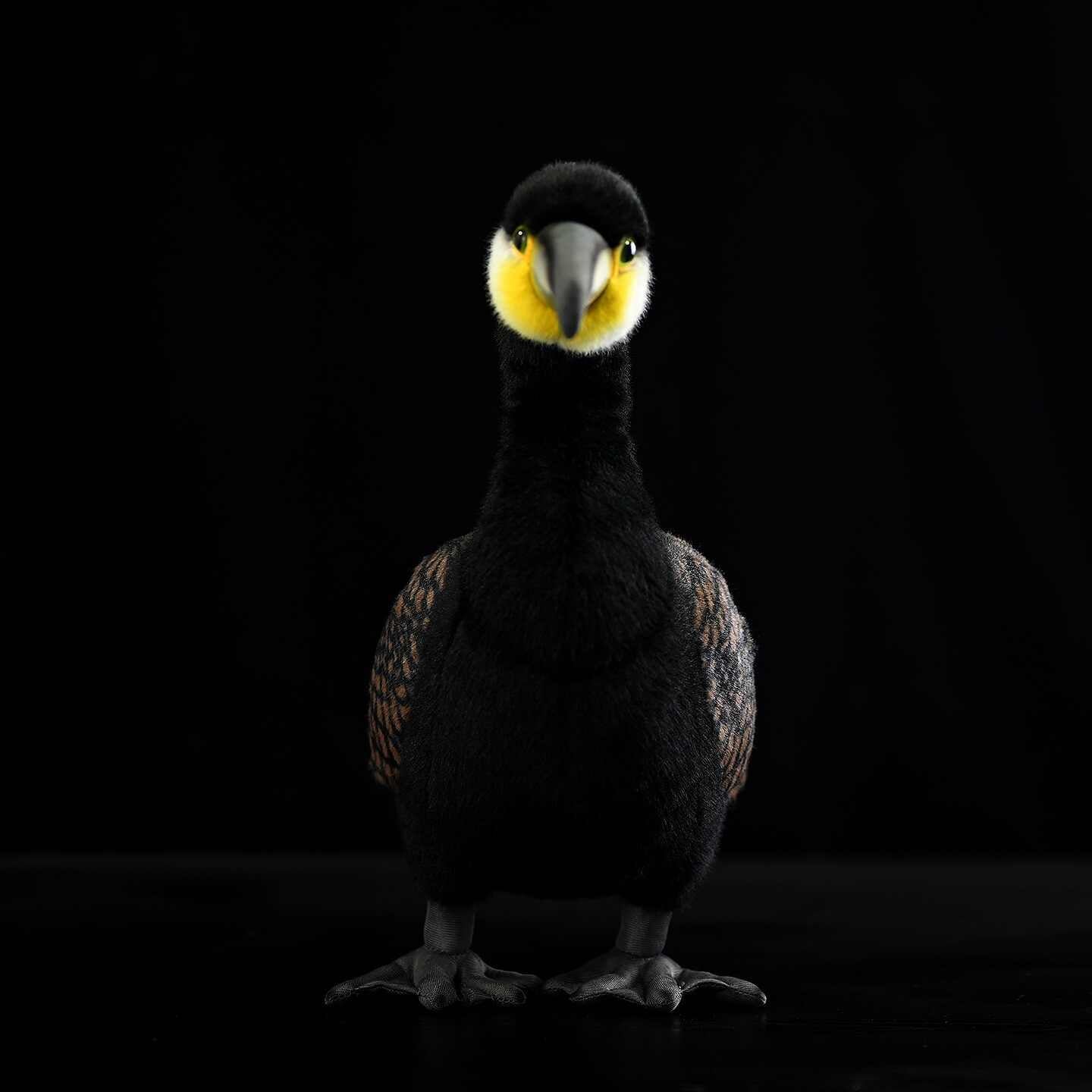 Les poupées en peluche Cormorant sont mignonnes