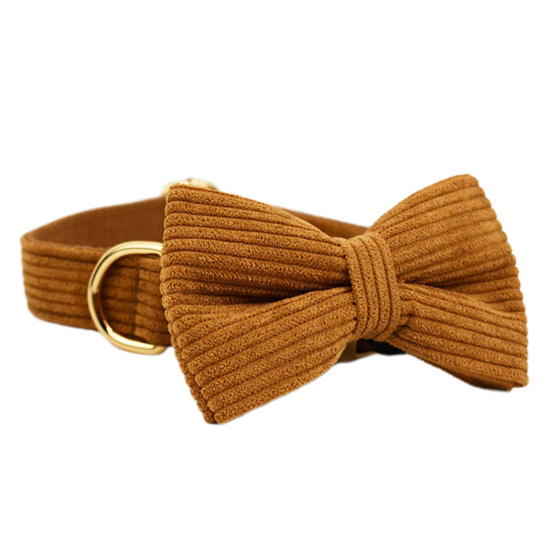 Caramel Corduroy Corduroy Corduroy Cordon