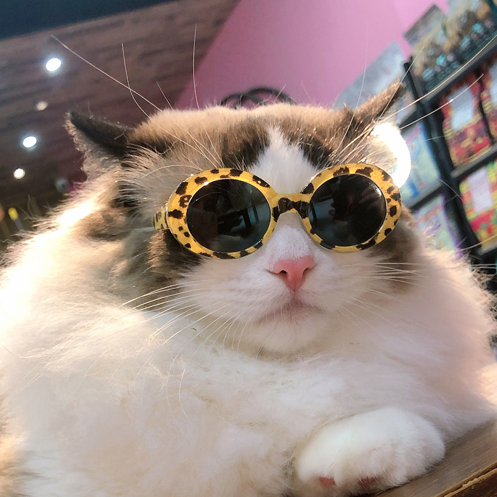 Pet Dog Cat Lunettes de soleil multicolores Cool Handsome Accessoires