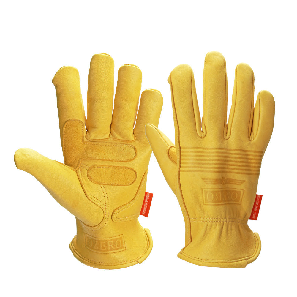 Gants d'équitation et de moto