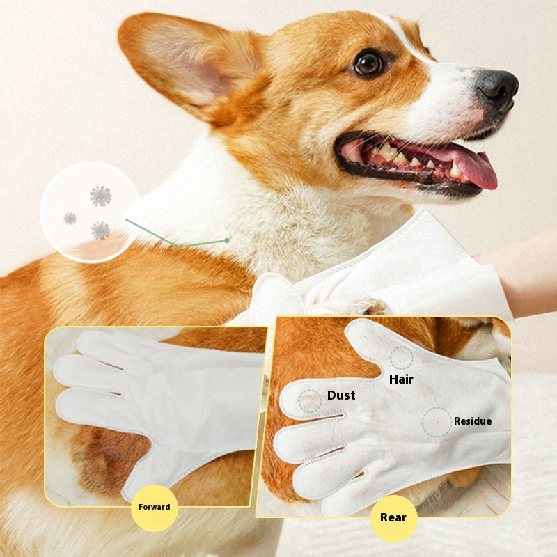 Fournitures jetables de bain Wipes humides pour les gants jetables pour animaux