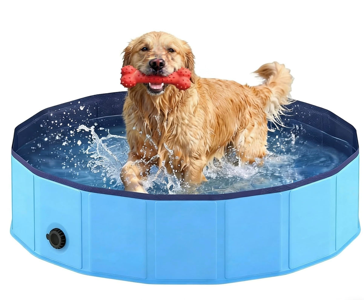 Foldable dog pool