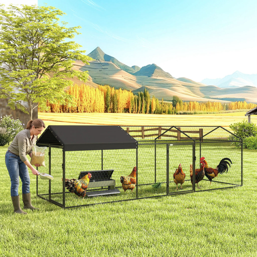 Coop de poulet en métal
