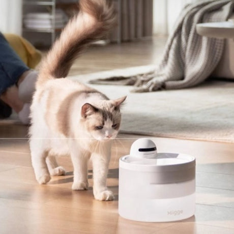 Distributeur d'eau pour animaux sans fil intelligent avec surveillance de la qualité de l'eau 24 heures sur 24 pour les chats et les chiens