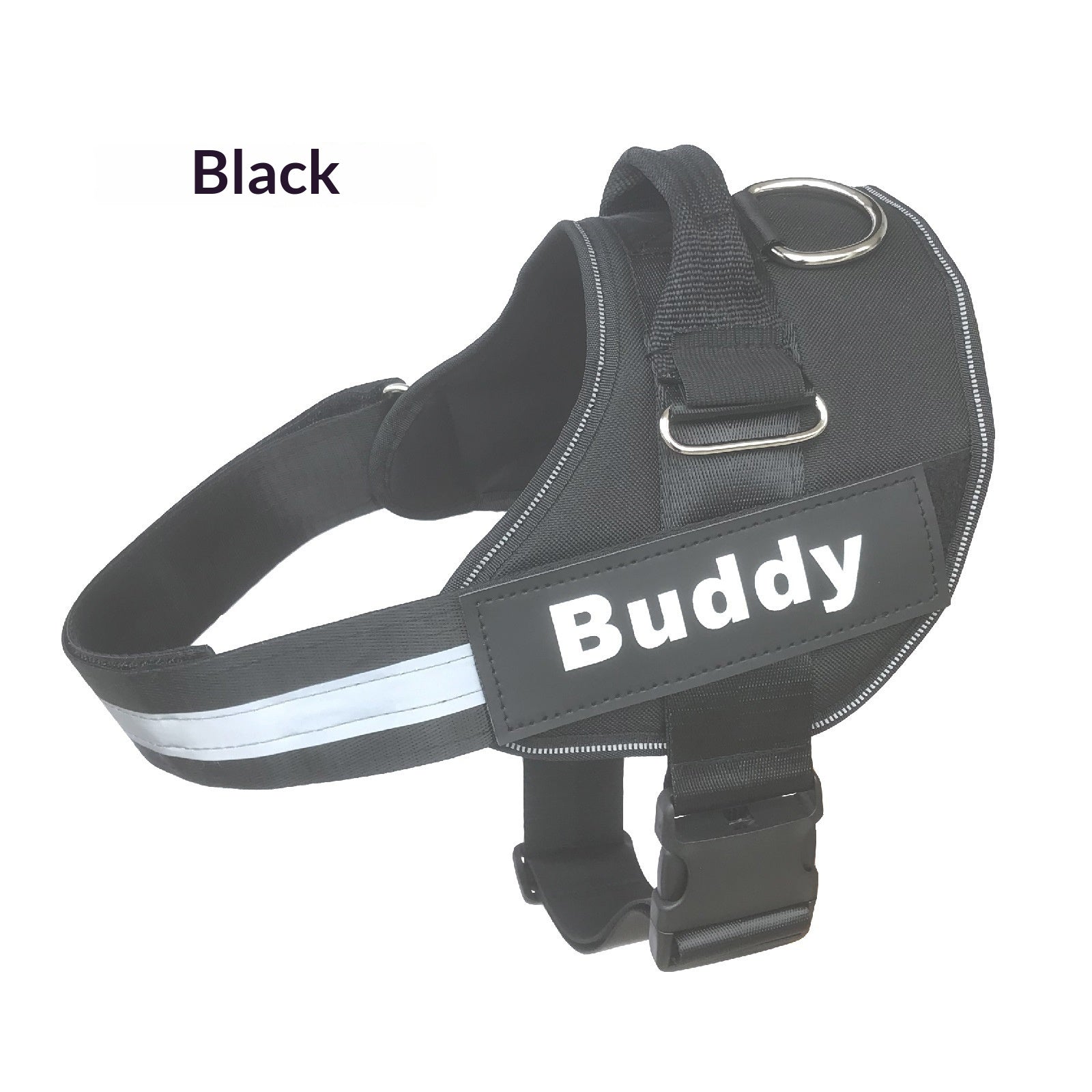 Harness Dog fournit des laisses et des paillettes
