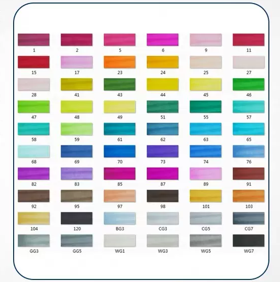 Double-tête alcool huileux couleur Animation stylo de peinture pour les étudiants professionnels d'art