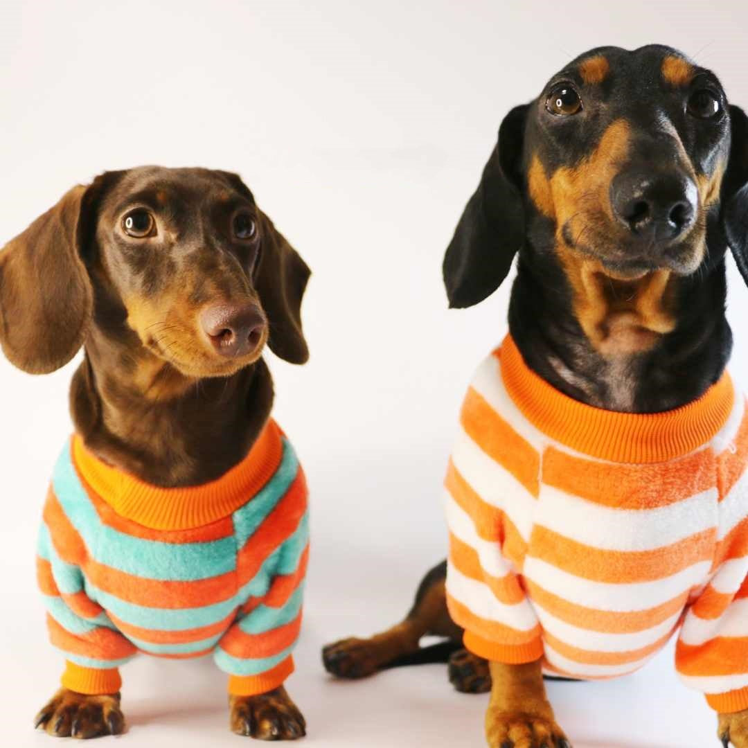 Maillots de chat de chien Sweatshirt casual