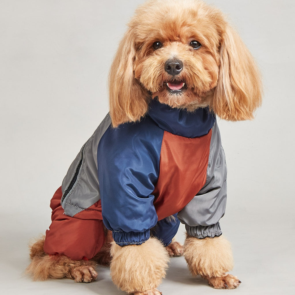 Animaux d'hiver couleur matching coton rembourré vêtements chien moyen grand chien chaud et confortable