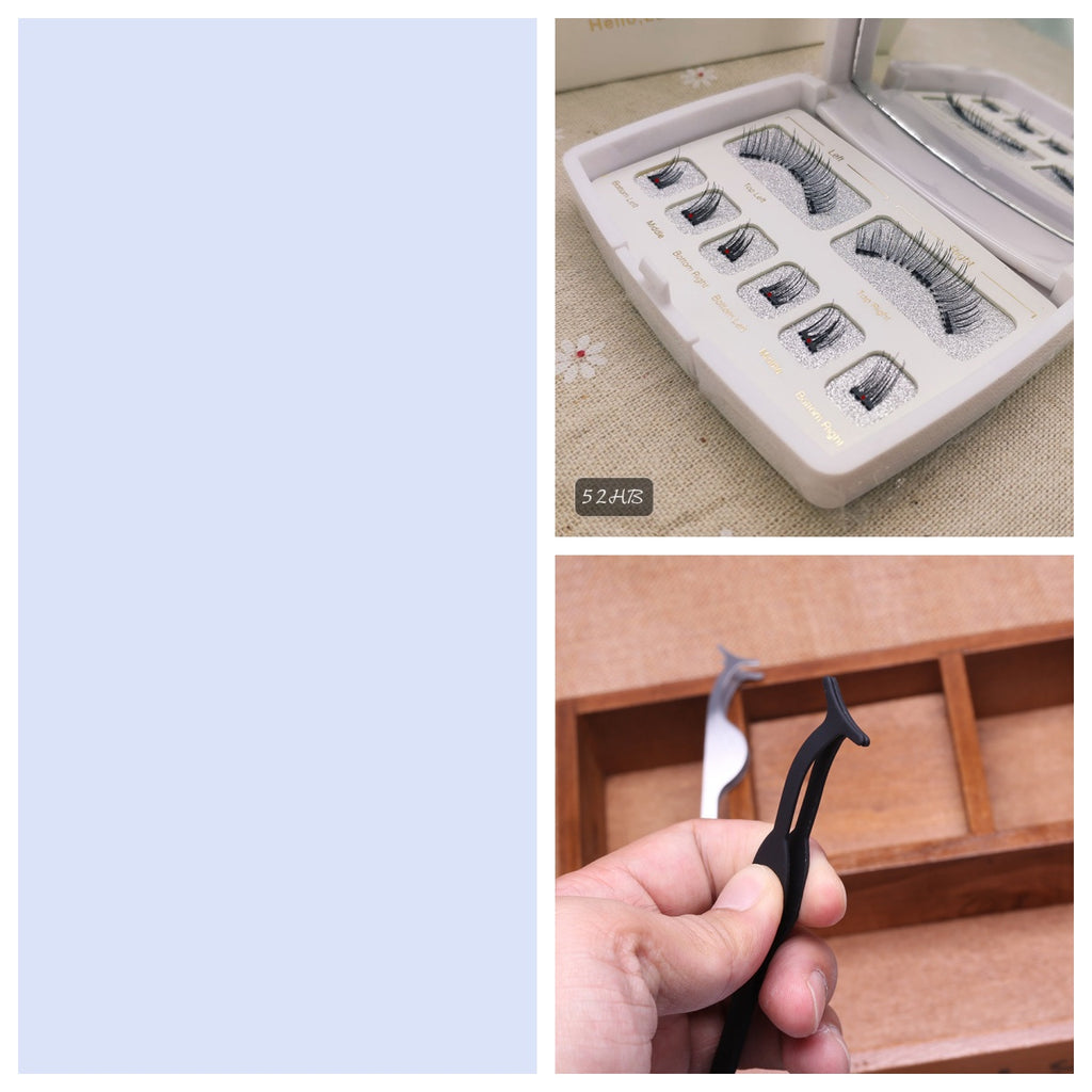 Faux cils de l'aimant