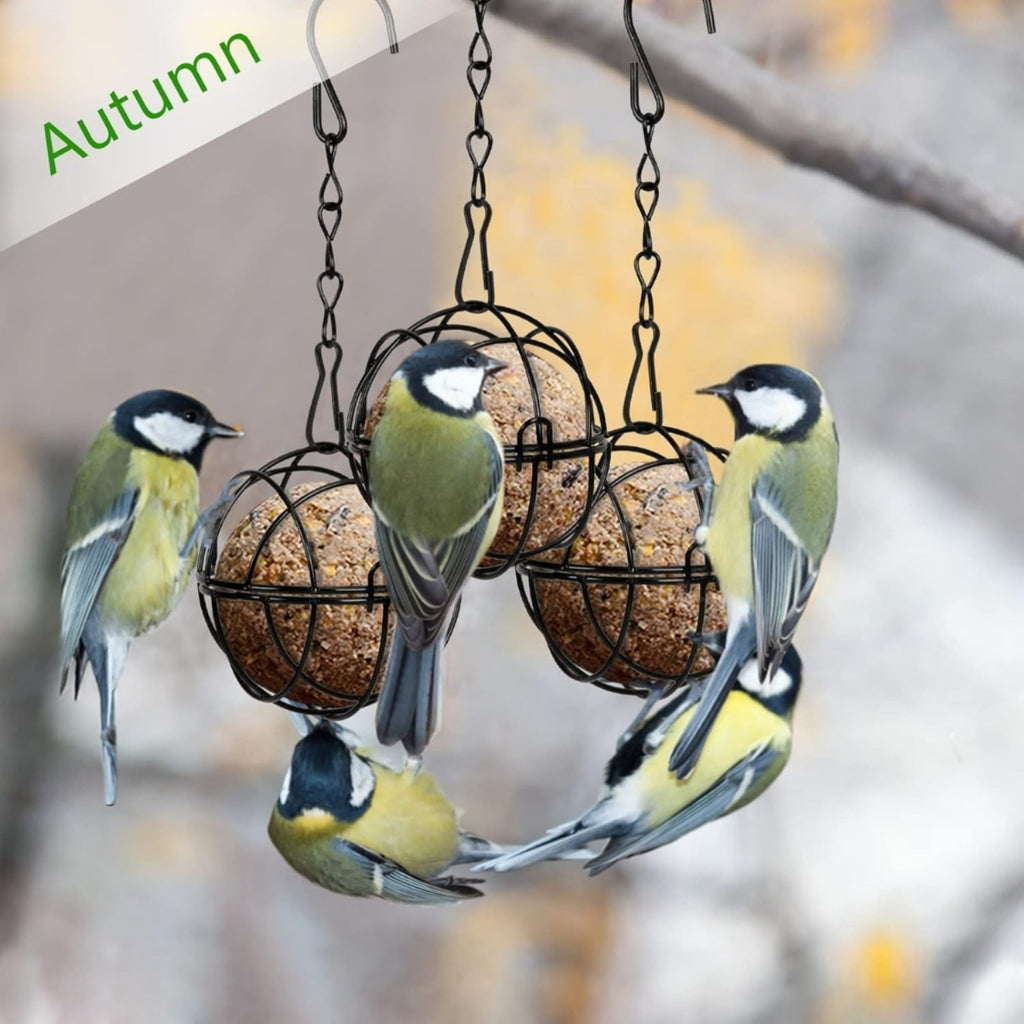 Ensemble de 4 Titmouse Suet Holder Bird Feeder Station pour accrocher