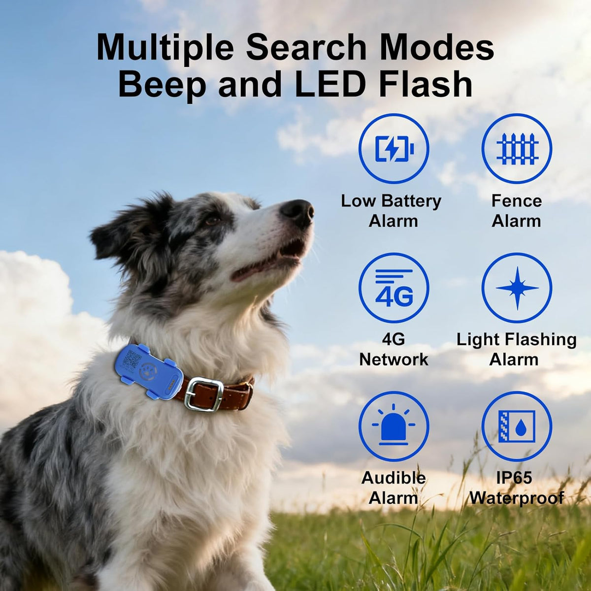 Dog GPS Tracker en temps réel