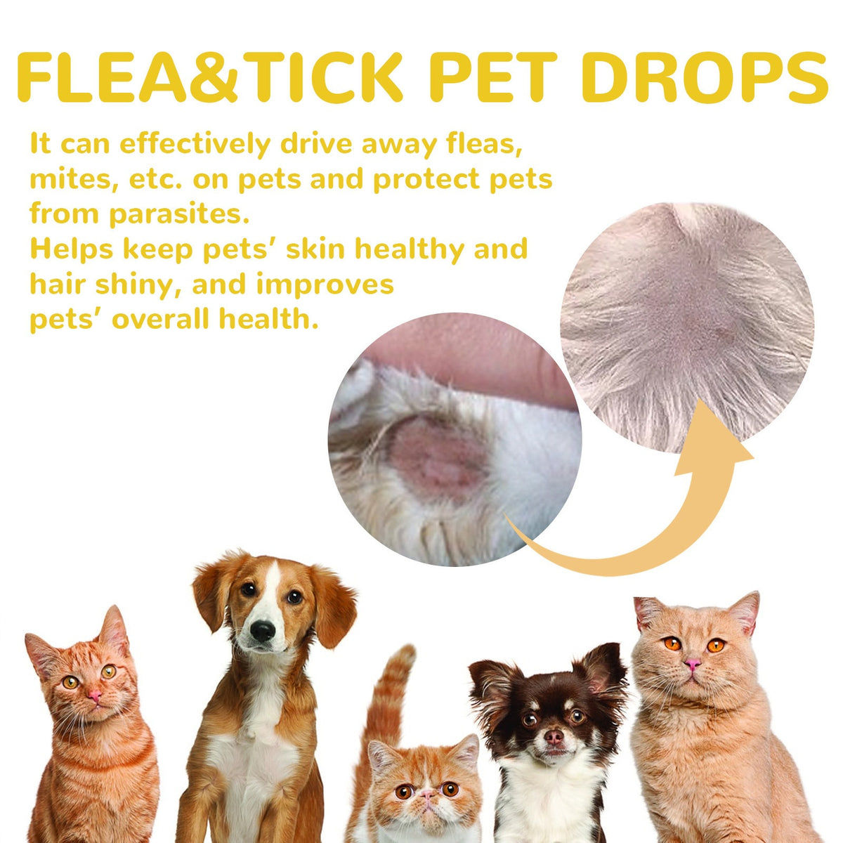 Yegbong Pet soin de la peau gouttes doux agent nettoyant pour les chats et les chiens