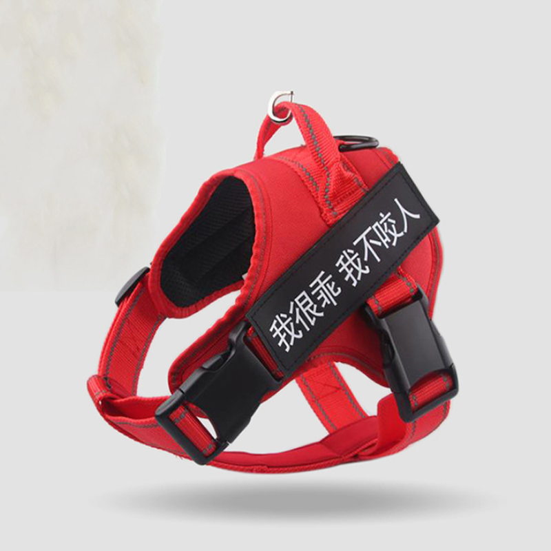 Bracelet de poitrine de chien de taille moyenne