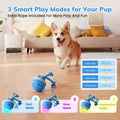 Jouets pour chiens, Jouets pour chiens interactifs, Balle pour chiens interactive automatique, 3 modes de mouvement activé D