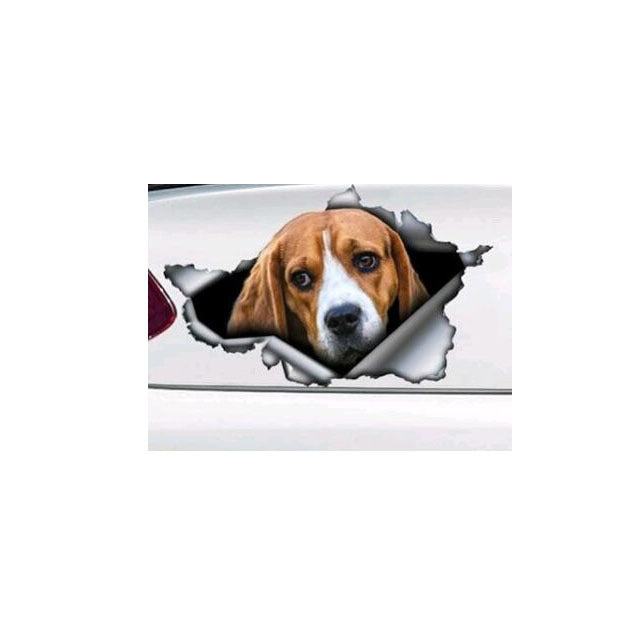 Car Tail Pattern Pet Sticker
