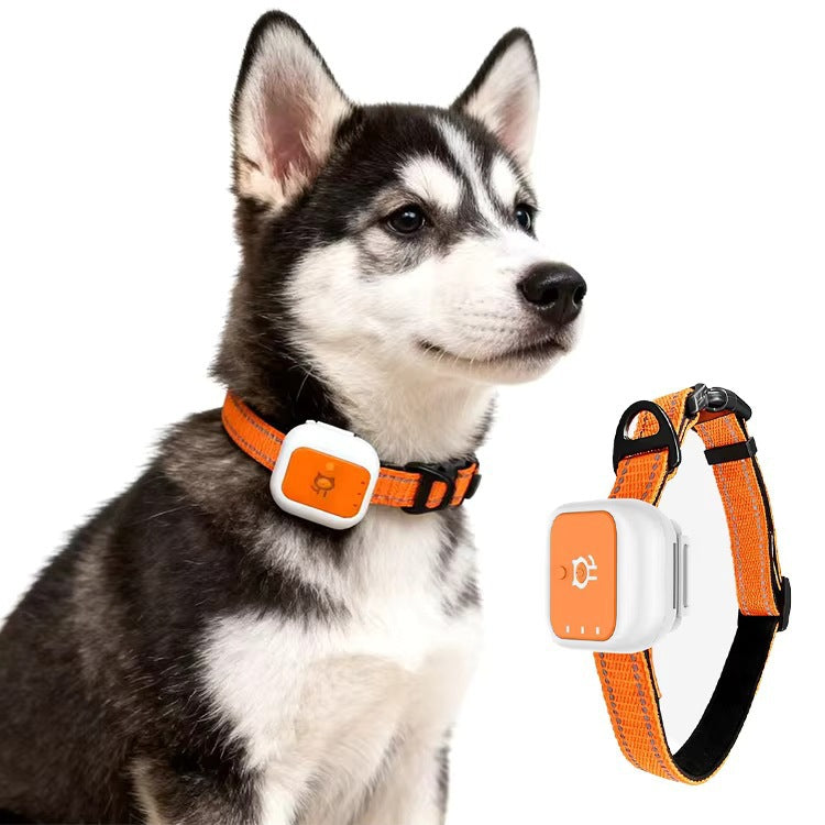 Chats et chiens de collier GPS 4G Suivi GPS en temps réel