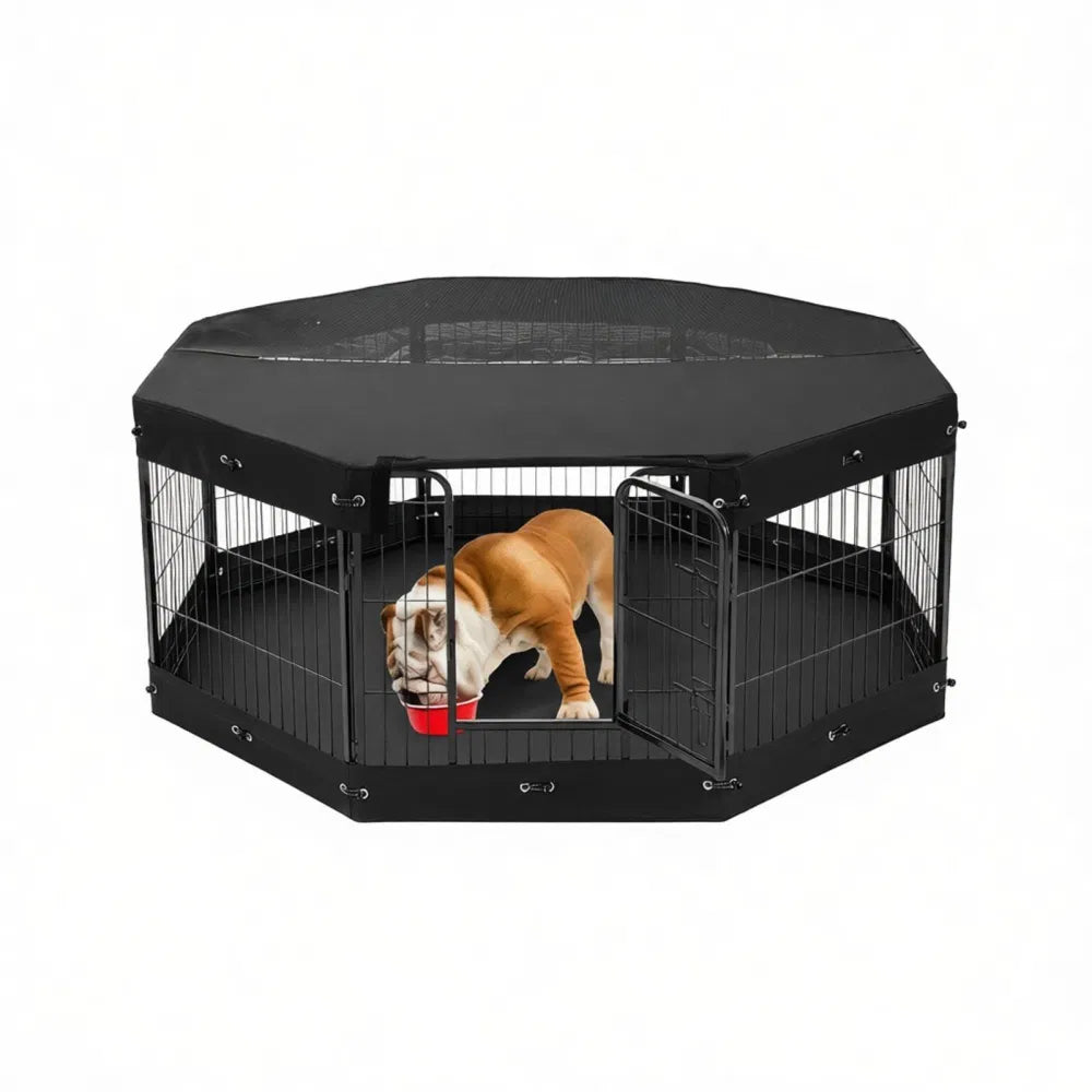 Maison de chien avec espace-sauvetage pour l'extérieur