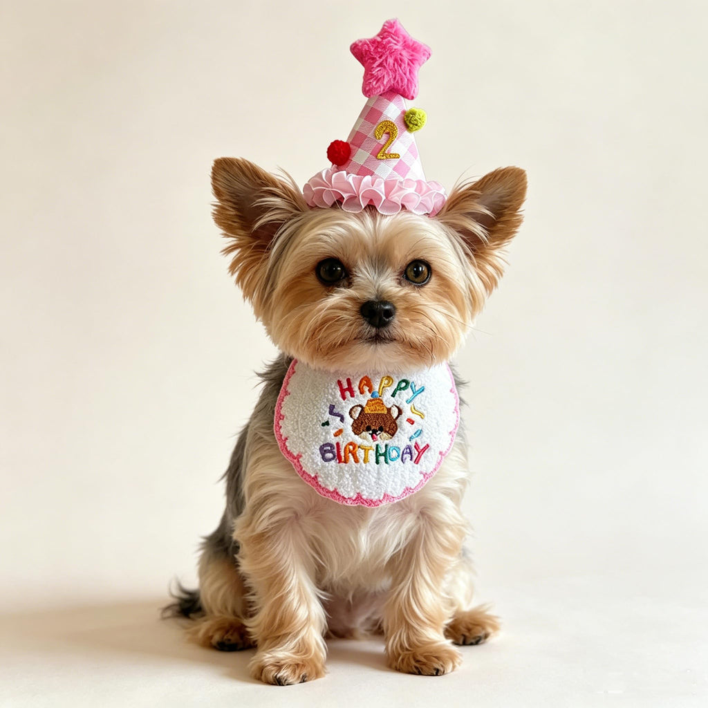 Fournitures pour fête d'anniversaire de chat
