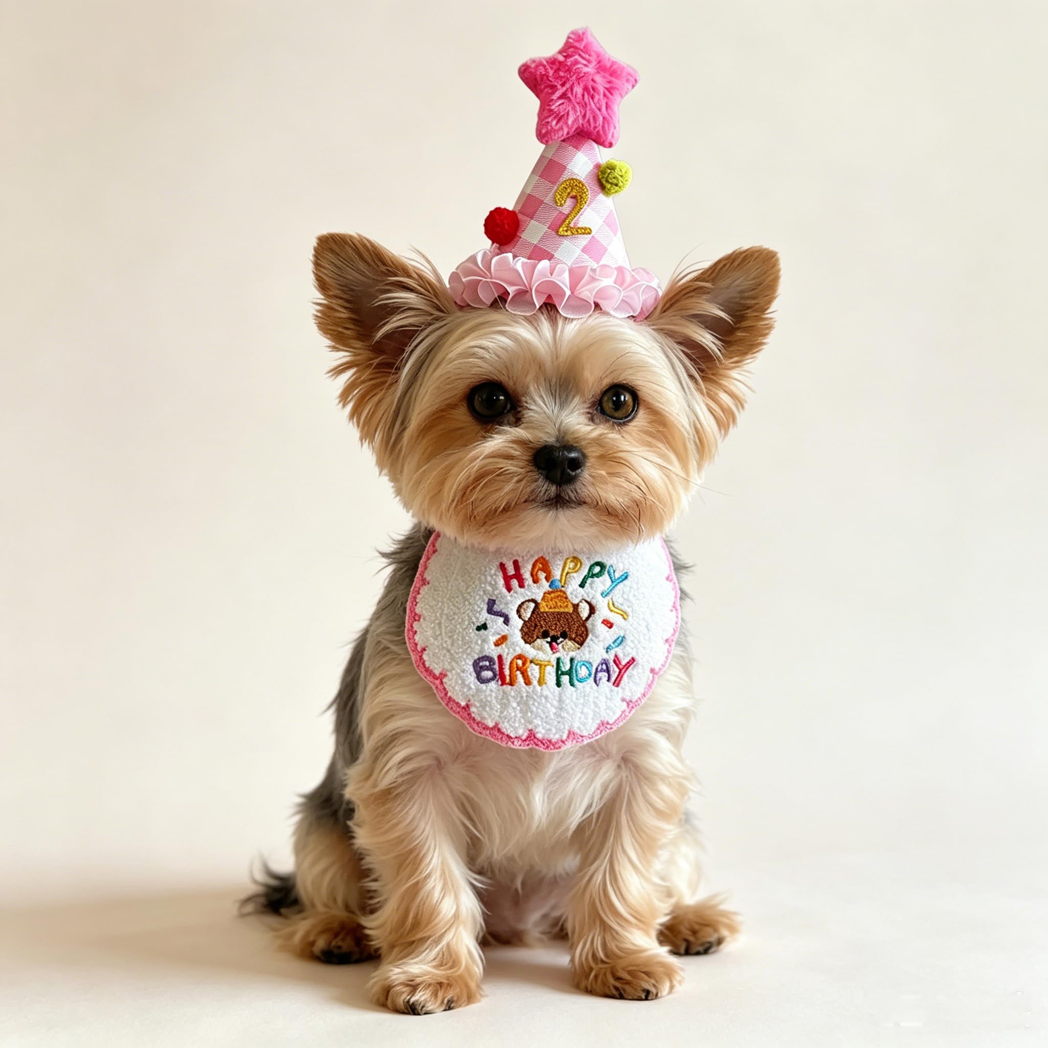 Fournitures pour fête d'anniversaire de chat