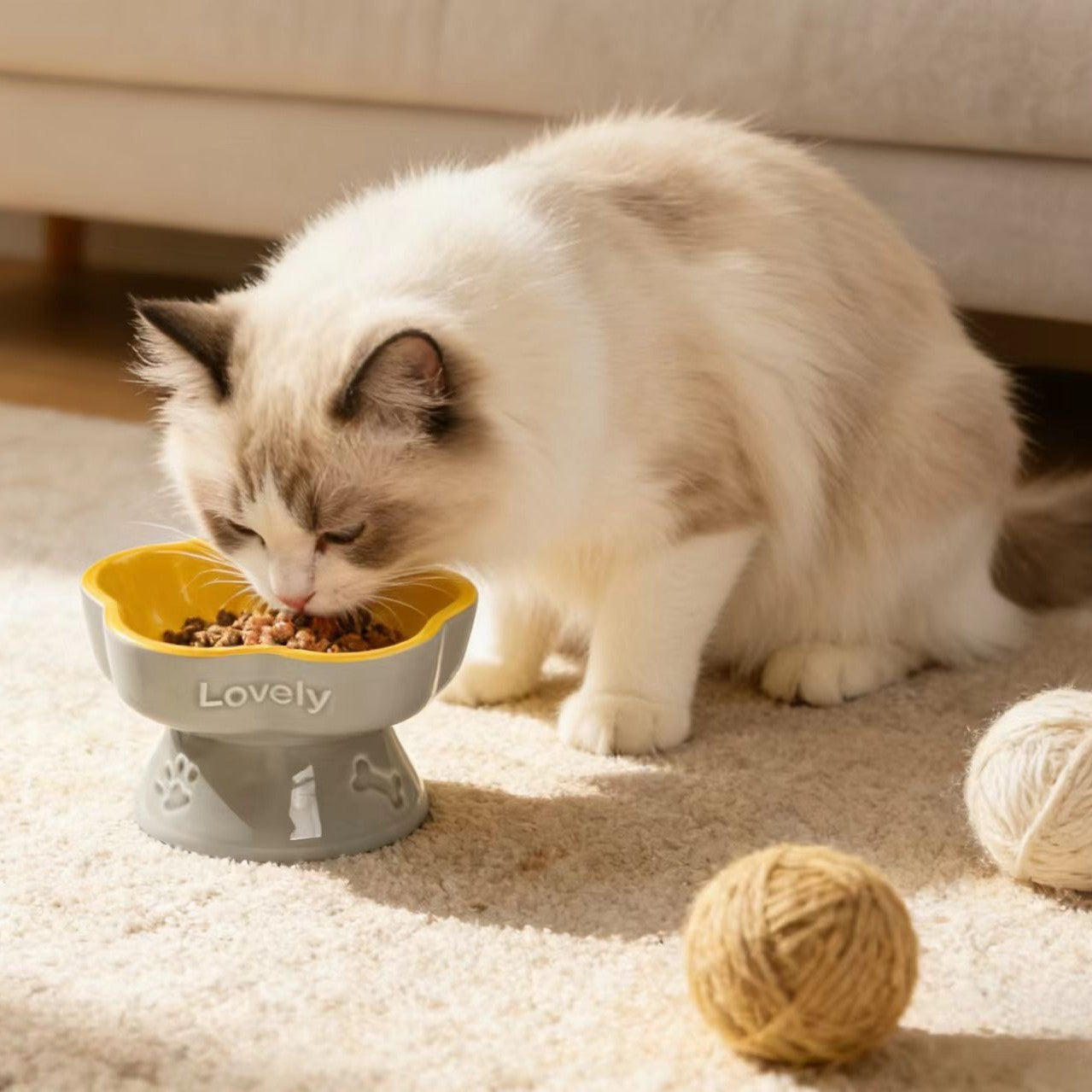 Céramique Élevé Pet Bowl pour chiens moyens à grands