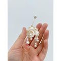 Iridescente Spiral Naturel Rare Conch Shell Pearl Brooch