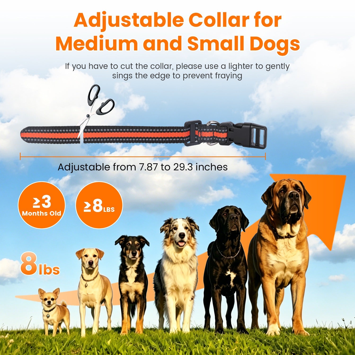 2 en 1 sans fil système de clôture de chien avec collier d'entraînement Invisible de clôture de chien IP68 étanche
