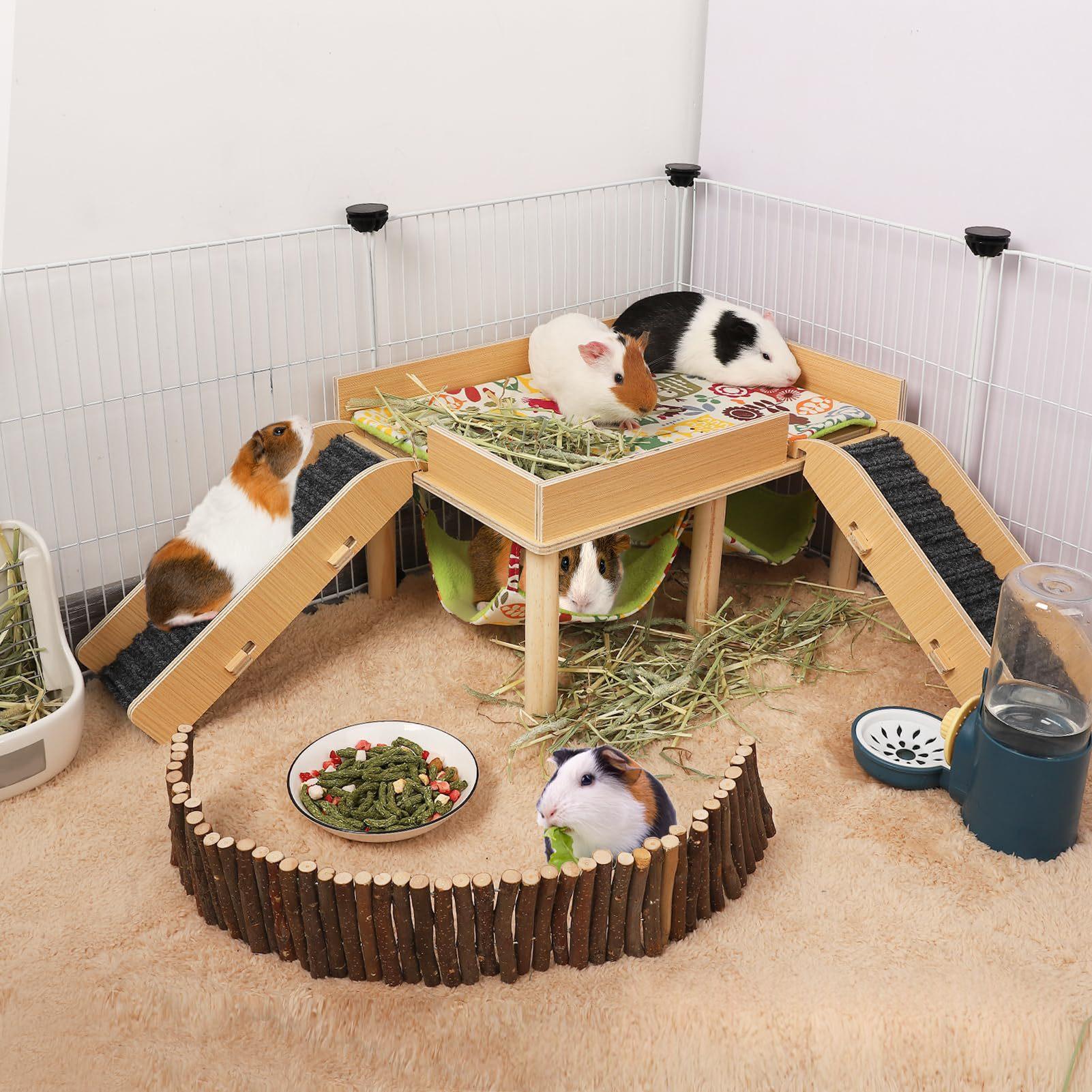 Nest double hamac de Guinée en bois avec un design amovible et une échelle pour les cages pour animaux de compagnie