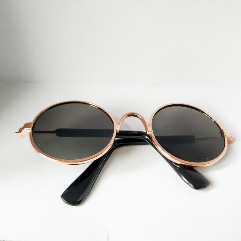 Lunettes de soleil pour chats
