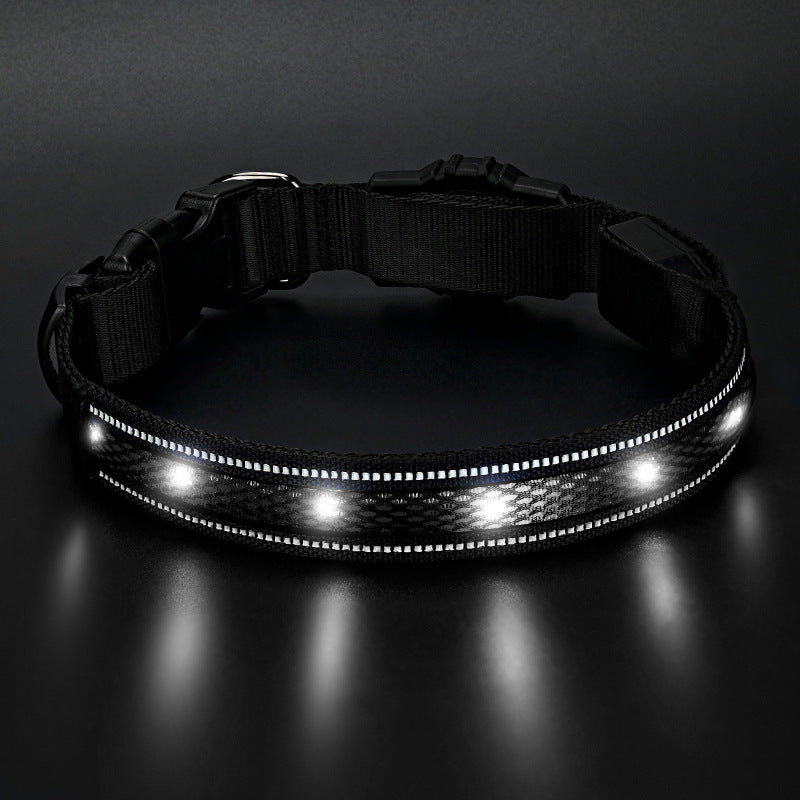 Collier de chien de Glowing imperméable rechargeable