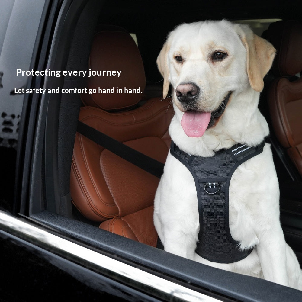 Harnais pour chien léger à double usage pour traction automobile