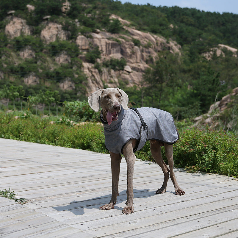 Pet Shell Veste Dog Hiver En plein air Costume de ski