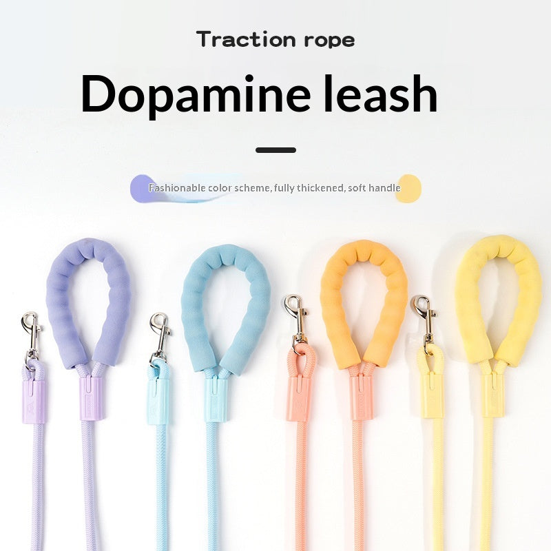 Pet Hand Holding Rope