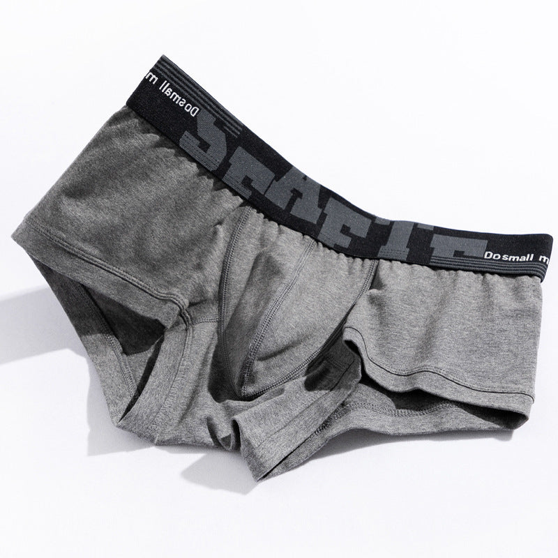 Boxers pour hommes Coton Basse taille