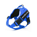Bracelet de poitrine de chien de taille moyenne