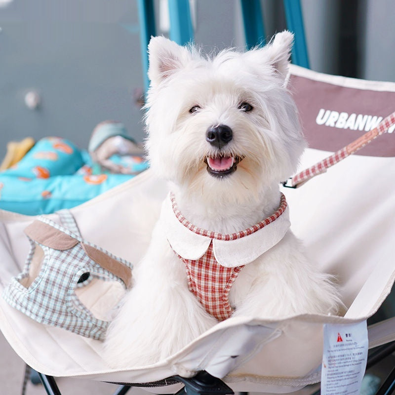 Harnais de chien de la mode petit Vest Rope