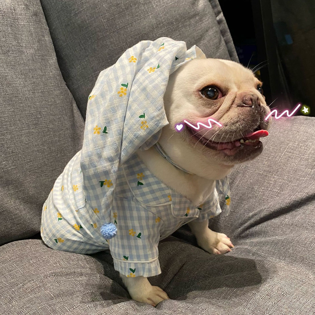 Vêtements, chiens Chats Favoris Teddy Schnauzer