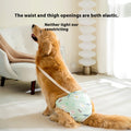 Pantalons menstruels Big Dog Période menstruelle Pantalons de couches