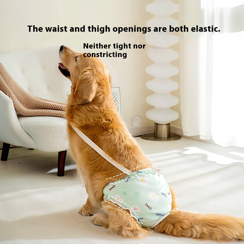 Pantalons menstruels Big Dog Période menstruelle Pantalons de couches