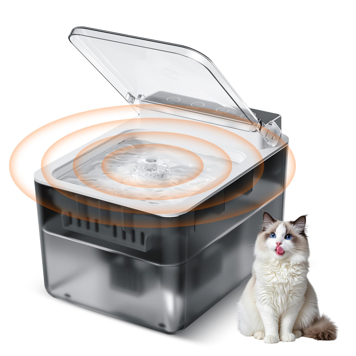 Batterie de recharge sans fil alimentée 304 en acier inoxydable Cat Induction automatique Pet Water Fou