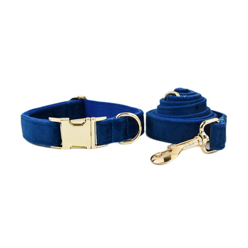 Rope de traction anti-évasion des chiens