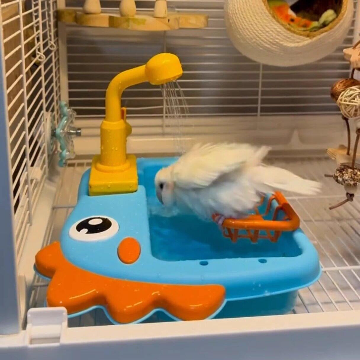 Jouets pour baignoire Appareils de bain Fournitures pour animaux de compagnie