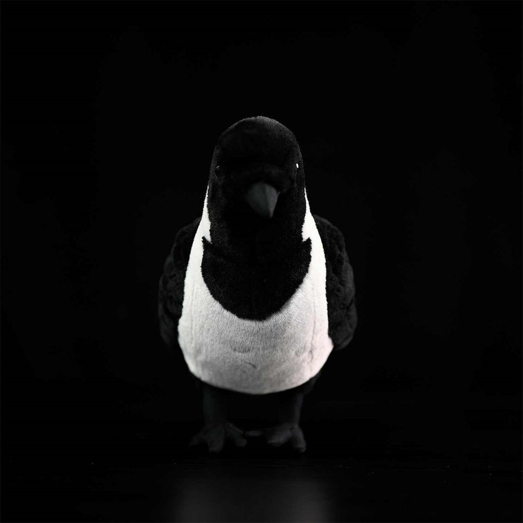 Da Wu Li Western Jouet en peluche Jackdaw