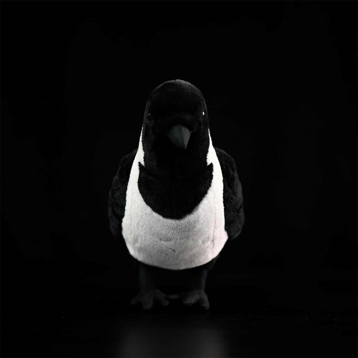 Da Wu Li Western Jouet en peluche Jackdaw