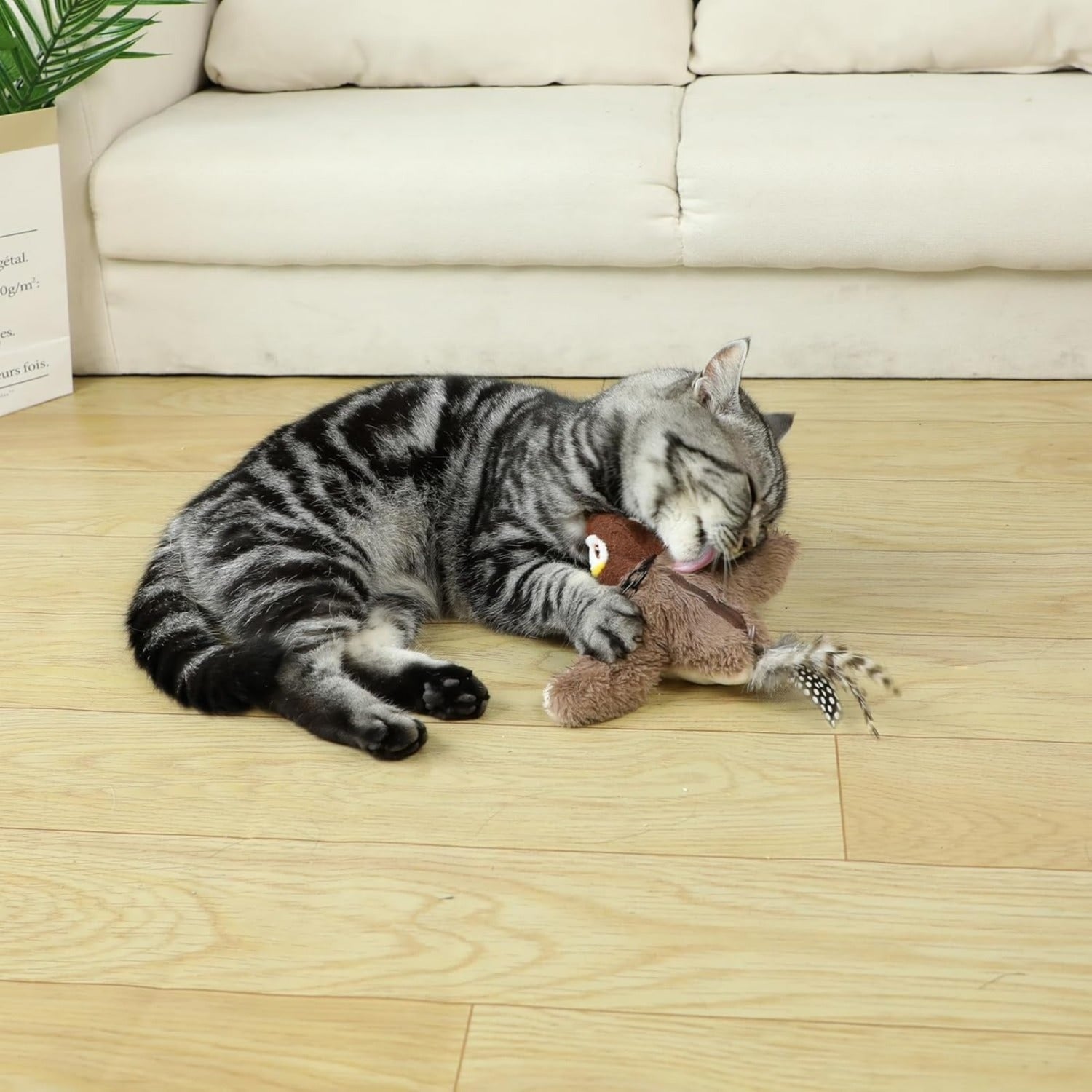 Jouet chat électrique TGFIX Bird pour self-play - Jouet chat automatique interactif avec Catnip