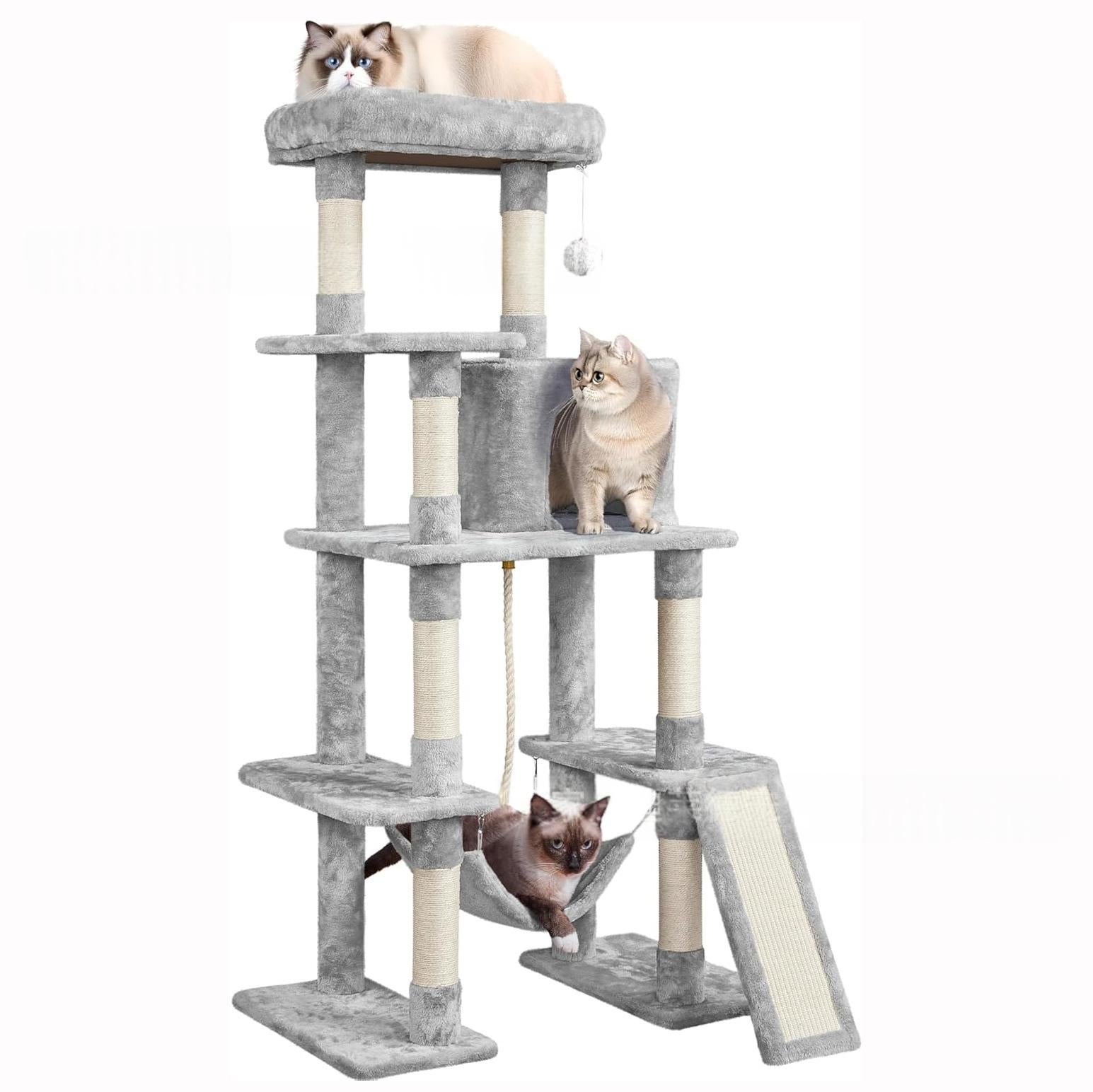 Chat lit de scratching poste et arbre de chat tout dans un seul jouet chat