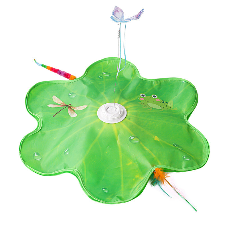 Jouets interactifs pour chats